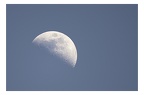 Lune