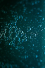  DSC7139-Avec accentuation-Bruit-Modifier