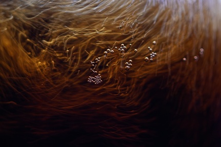  DSC7046-Avec accentuation-Bruit-Modifier