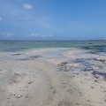 Océan Indien