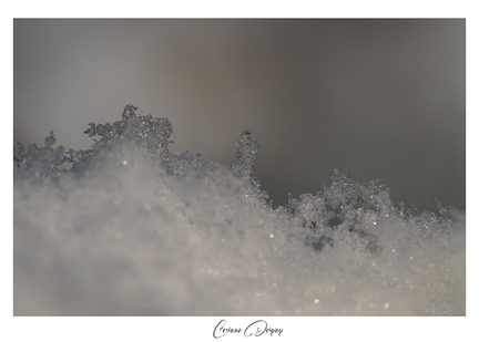Macro neige