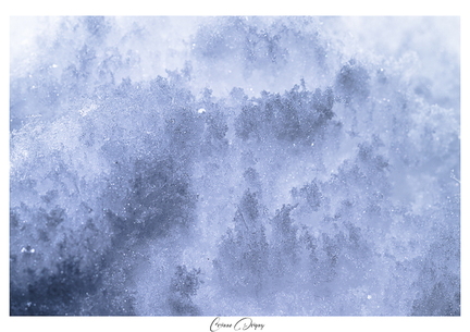 Macro neige