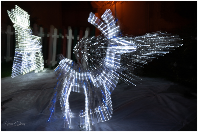 LUMIERE NOEL5.jpg