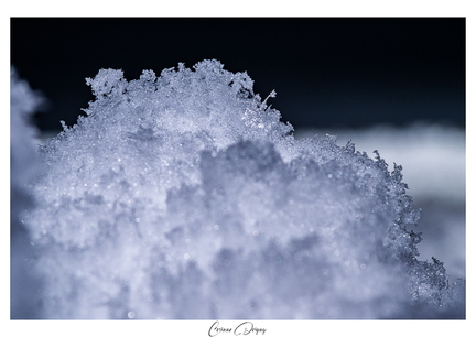 Macro Neige